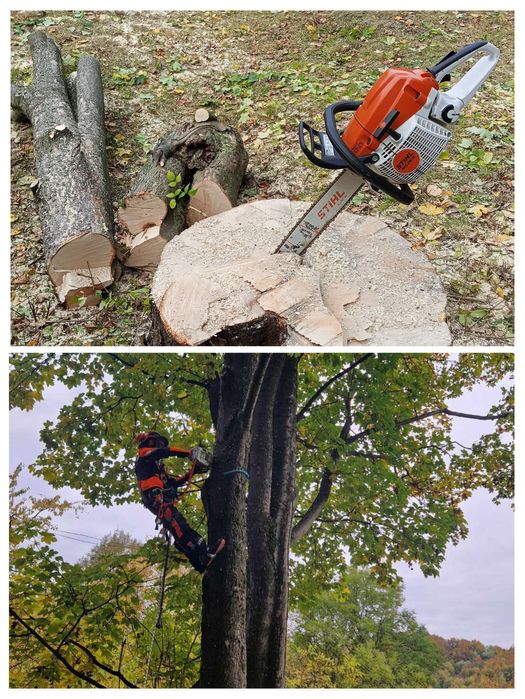 Alpinistyczna wycinka drzew, formowanie żywopłotów i krzewów, koszenia