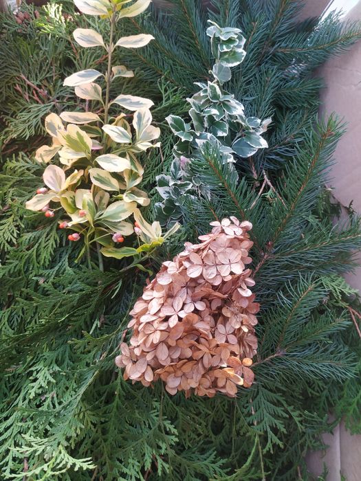 Bukiet plastry gałązki świeże i suszone