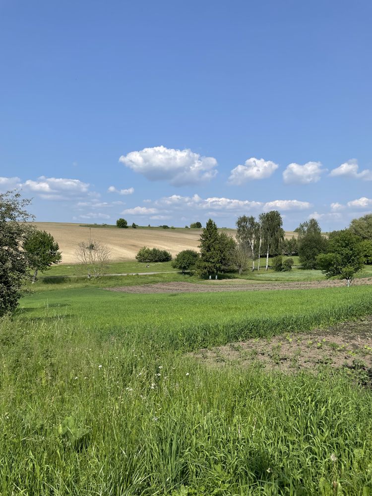 *Продам будинок в мальовничій локації