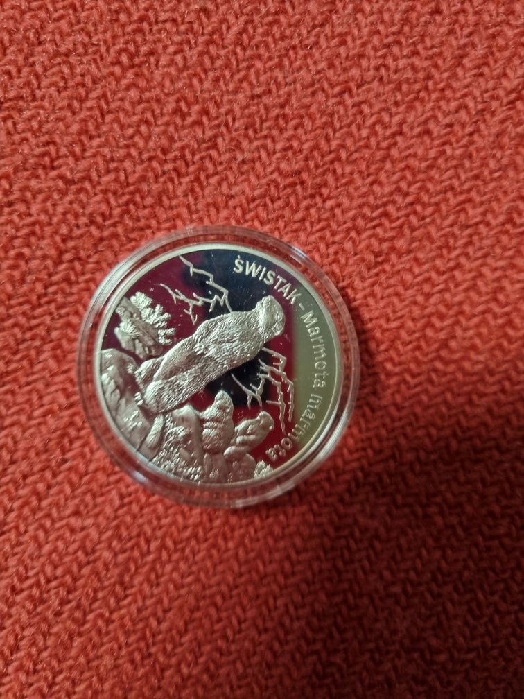 Srebrna moneta 20zł Świstak