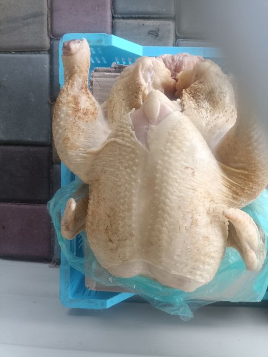 Продам тушки домашніх бройлерів