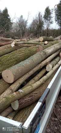 Drewno opałowe akacja klon dab