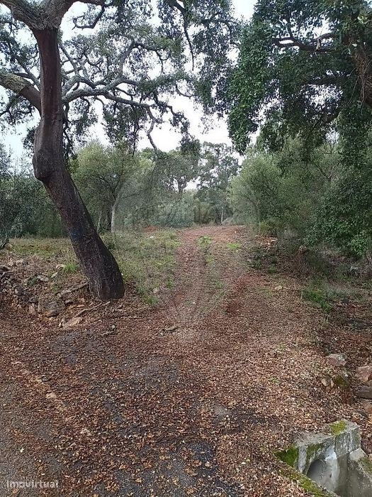 Terreno  para venda