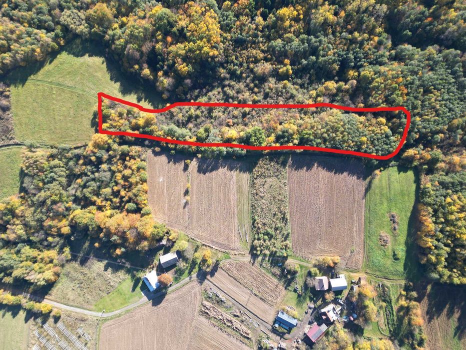 Na sprzedaż działka 56 arów  Żyznów