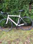 Wilier Trestina GTR - granturismo. Szosowy. Pełen karbon
