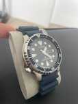 Citizen Promaster