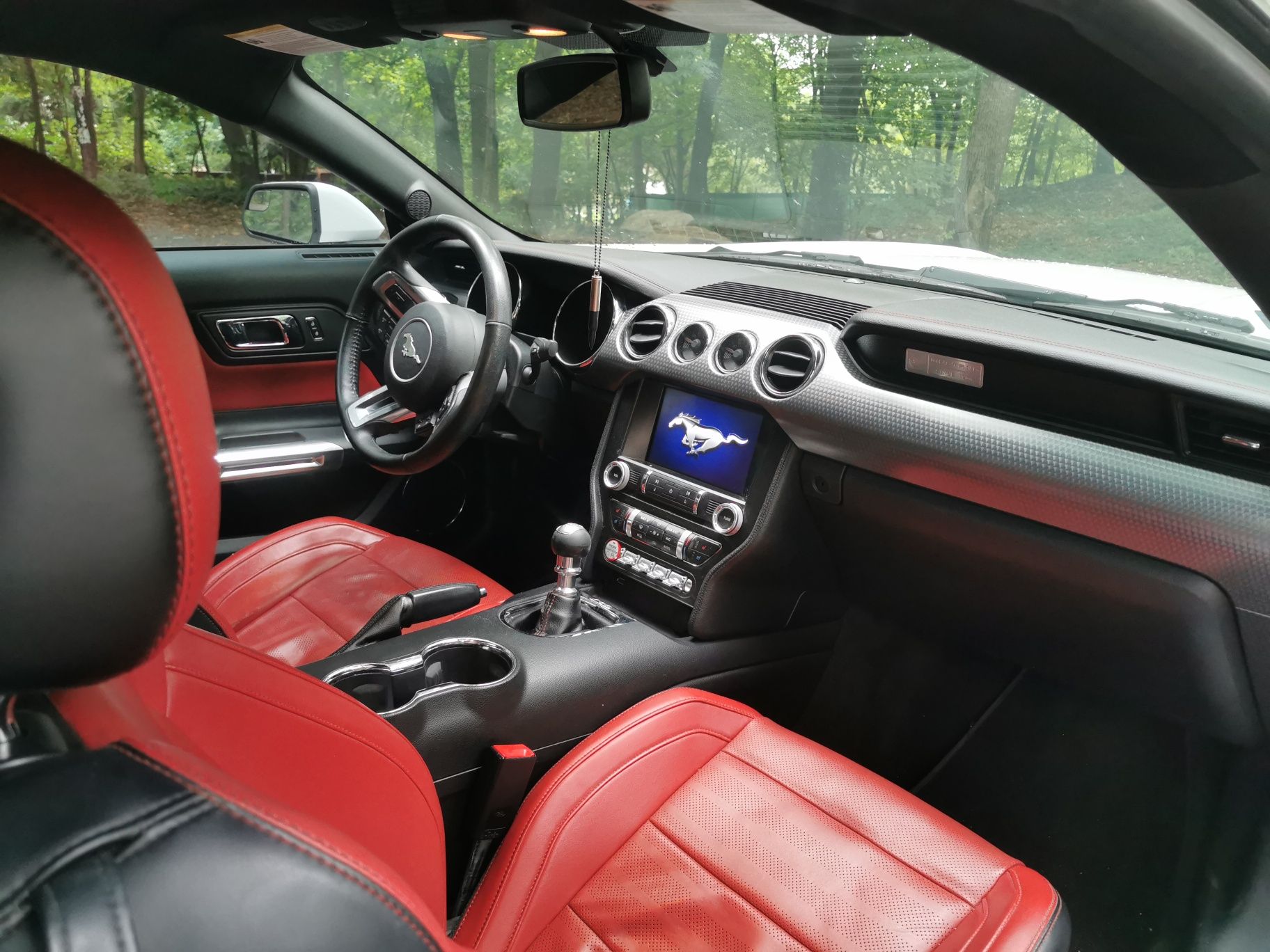 Ford Mustang VI performance