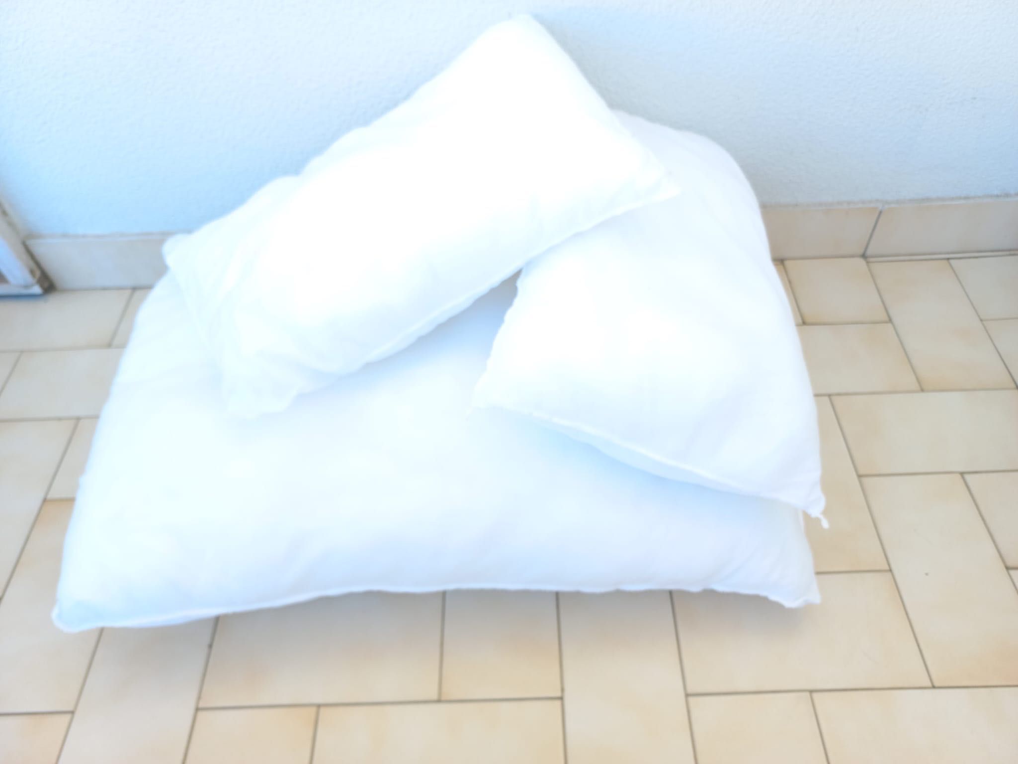 Cama cão ou gato ortopédica NOVA