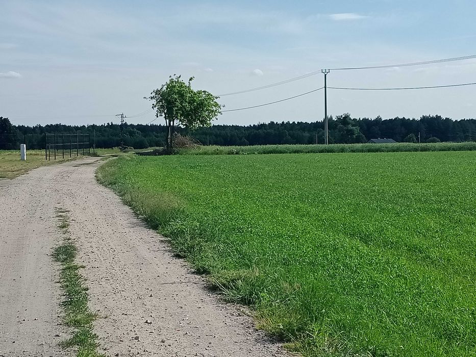 Działki budowlane Trzebiegoszcz