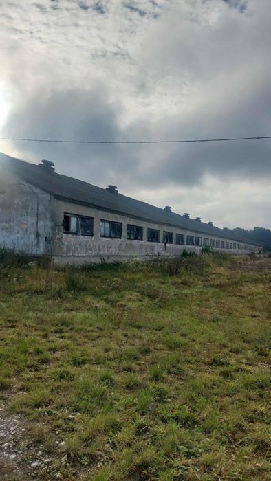 RSP ZAGRODA sprzeda grunty rolne wraz z zabudową o pow. 41 300m2