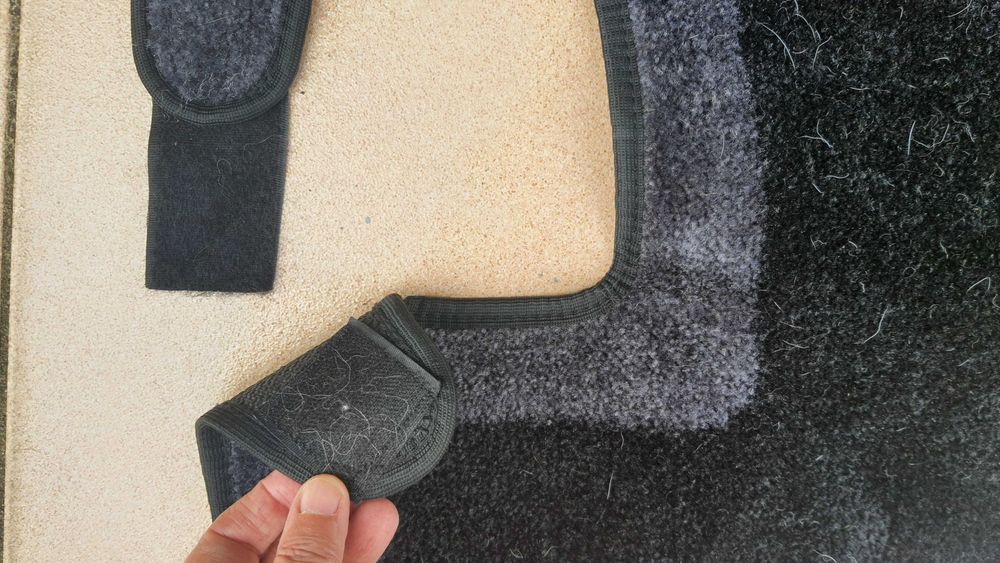 Três proteções para o transporte de animais de estimação