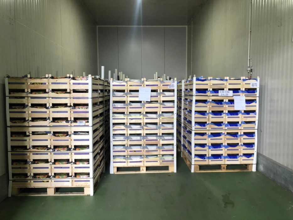 Magazyn chłodnia hala komora magazynowanie przeładunki 300 m2 Błonie