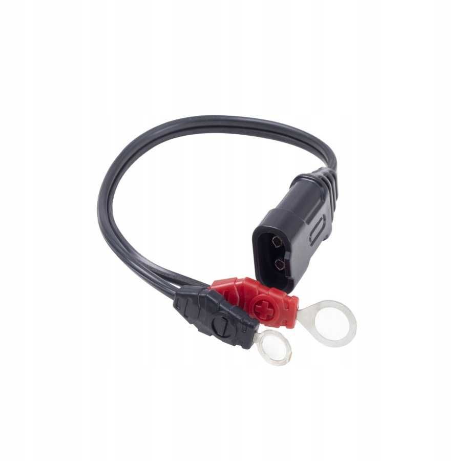 Prostownik ładowarka Norauto Recovery 10A 12/24V