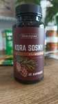 Kora sosny nadmorskiej - 60 kapsułek