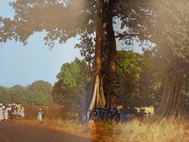 Guiné Bissau - Reconstrução Nacional