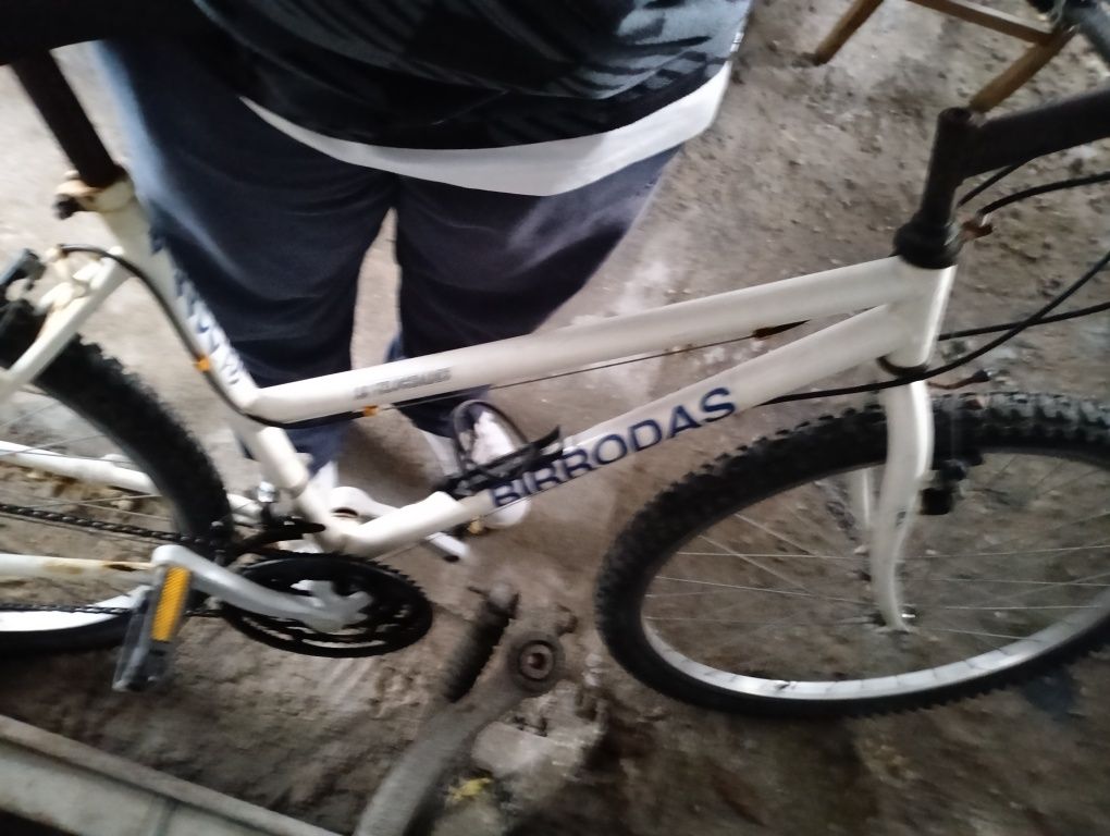 Bicicleta BIrdRodas
