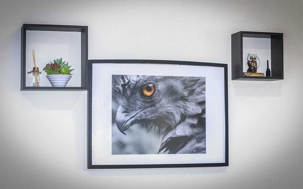 Telas fotográficas de natureza para decoração (várias dimensões)