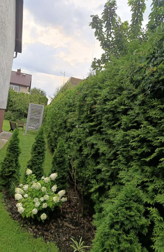 Sprzedam dom Maków Mazowiecki