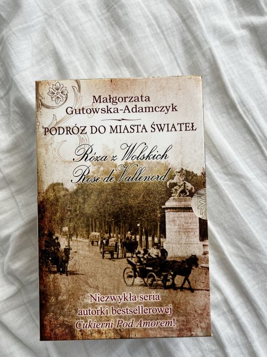 podróż do miasta świateł rose de vallenrod