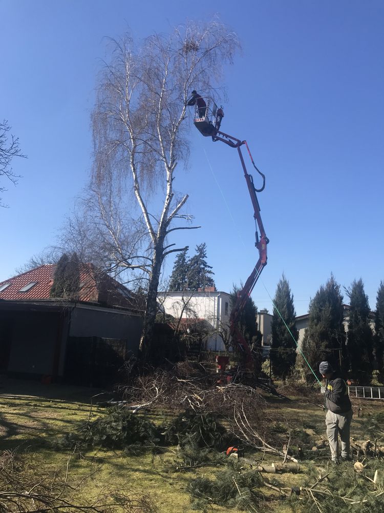 Podnośnik koszowy pająk wynajem