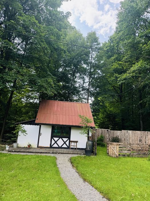 Domek sauna kominek las - tylko dla dorosłych