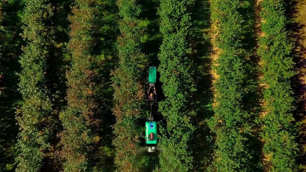 Najwęższy opryskiwacz sadowniczy do borówki z wałem szerokokątnym 600l