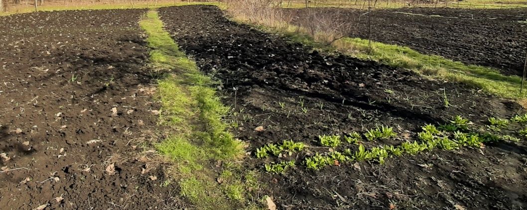 2 будинки на ділянці +ГАРАЖ Велика Балка,Полтавська Кропивницького 1км