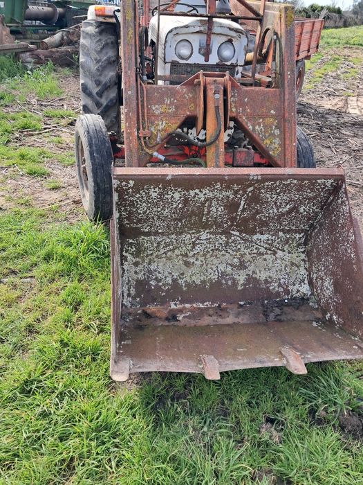 David brown  885