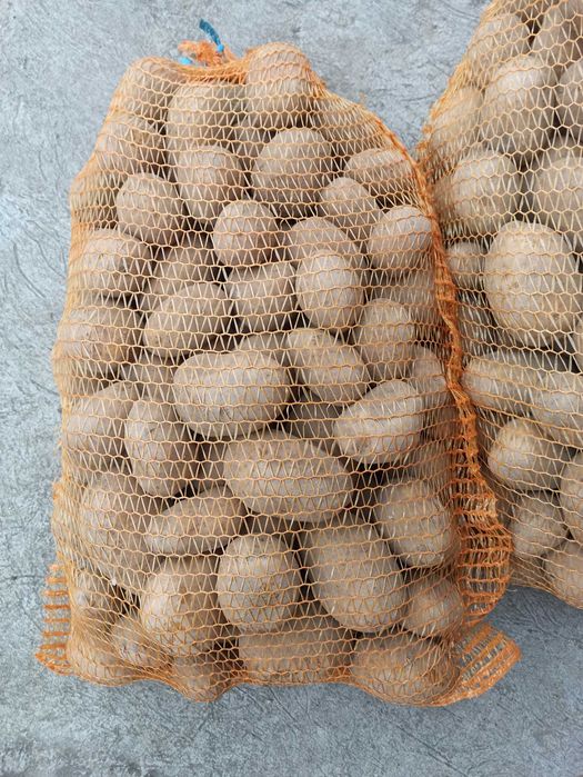 Ziemniaki jadalne odmiany Soraya