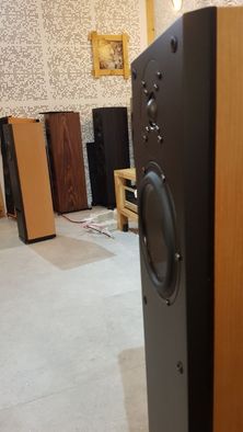 Usher V-602 AudioLand Studio kolumny