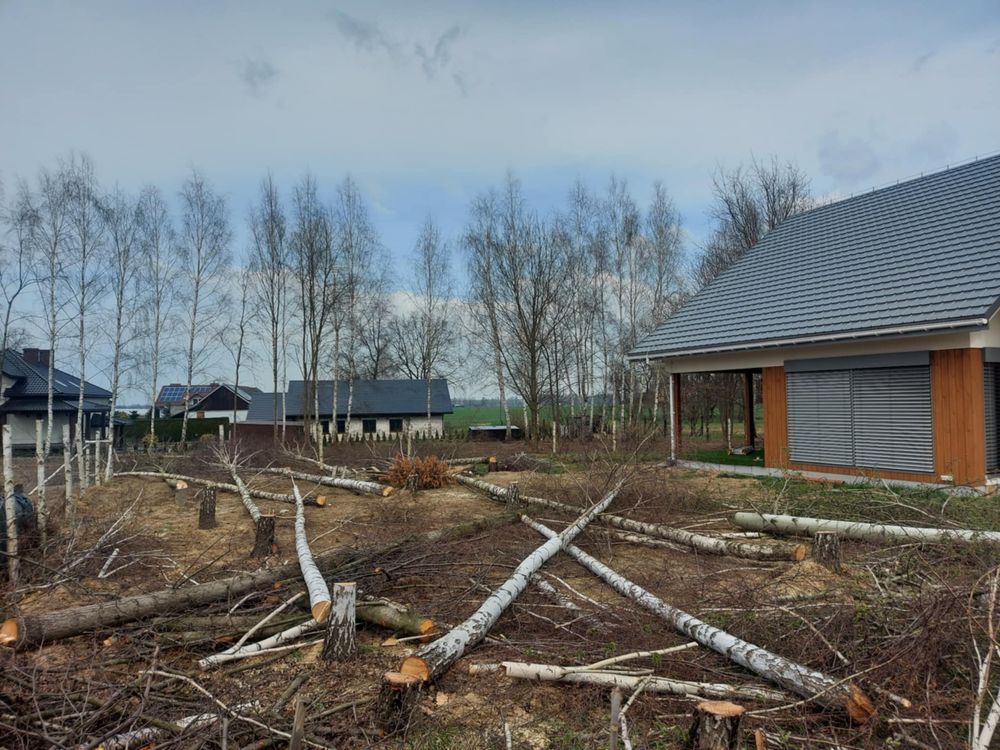 Pielęgnacja ogrodów,wycinka drzew,przycinanie żywpołotów,koszenie