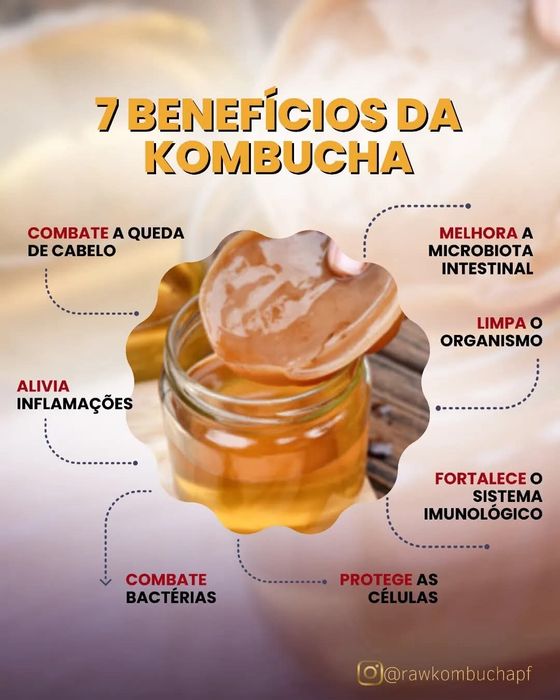 Ofereço Kombucha