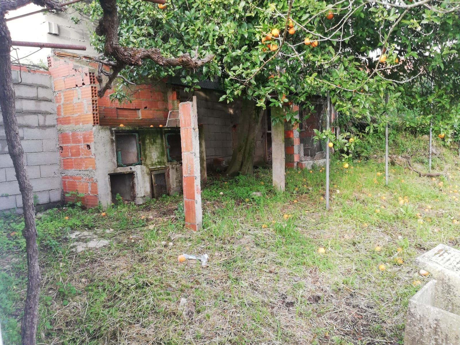 Moradia Venda Andreus Sardoal