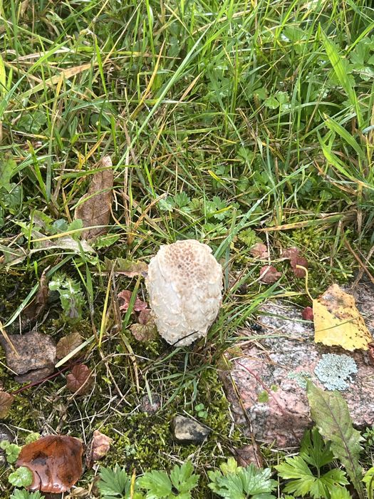 Noclegi , kwatery pracownicze , wynajem sali