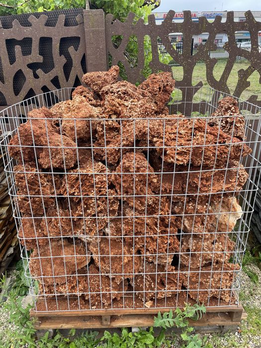 Kamień Wapień Koralowiec Czerwone Spaghetti do Akwarium Terrarium