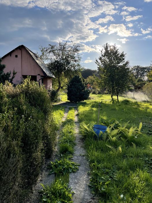 Działka ogrodowa Bajka w Żaganiu