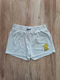 Szare dresowe krótkie spodenki szorty snoopy L/XL 40/42