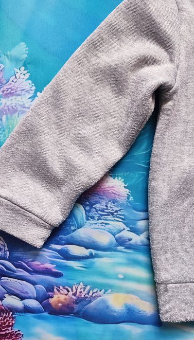 Bluza i 3 bluzeczki koszulki z długim rękawem r. 110