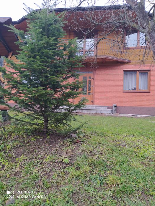 Відпочинок у Карпатах