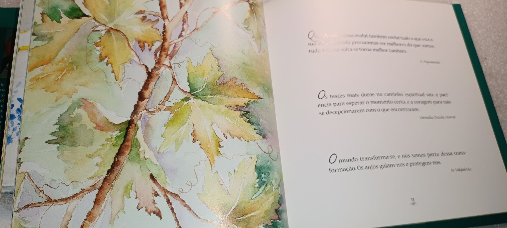Livro Palavras Essenciais de Paulo Coelho - 1ª Edição