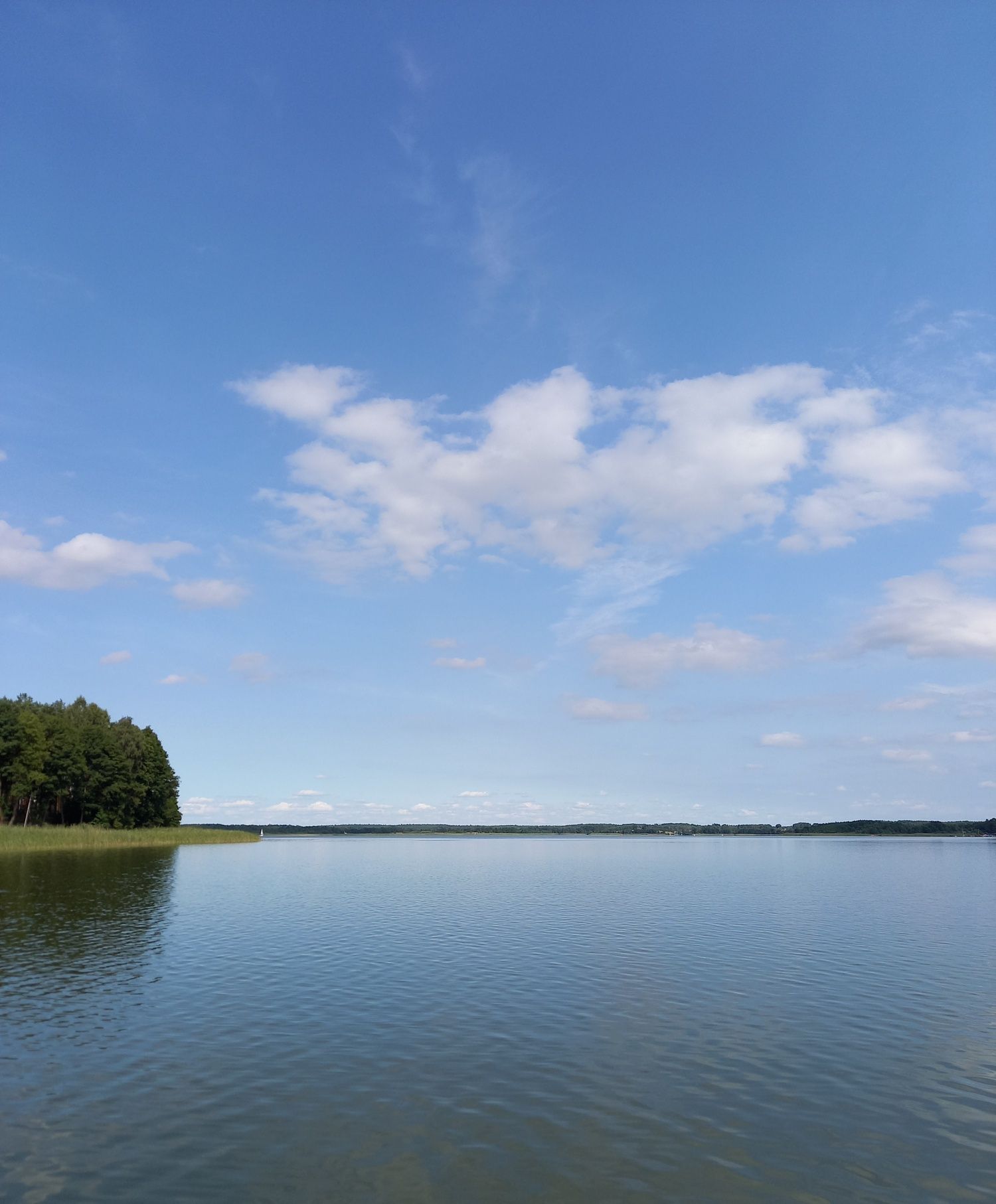 Wynajmę nad jeziorem w Borach Tucholskich