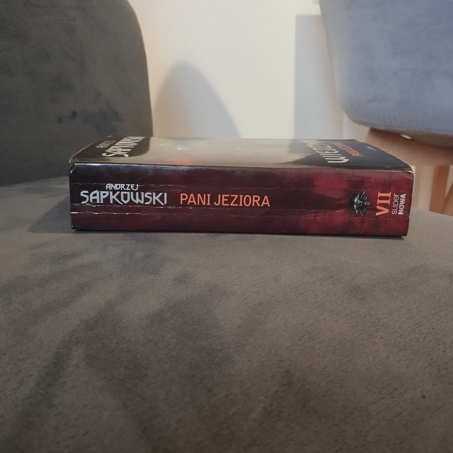 Pani jeziora Wiedźmin Andrzej Sapkowski
