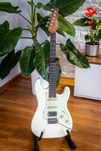 Schecter traditional Nick Johnston - stalowe progi