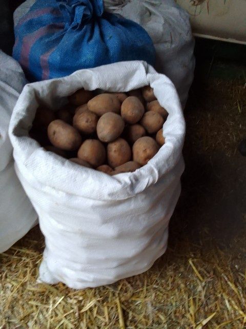 Ziemniaki od rolnika gala