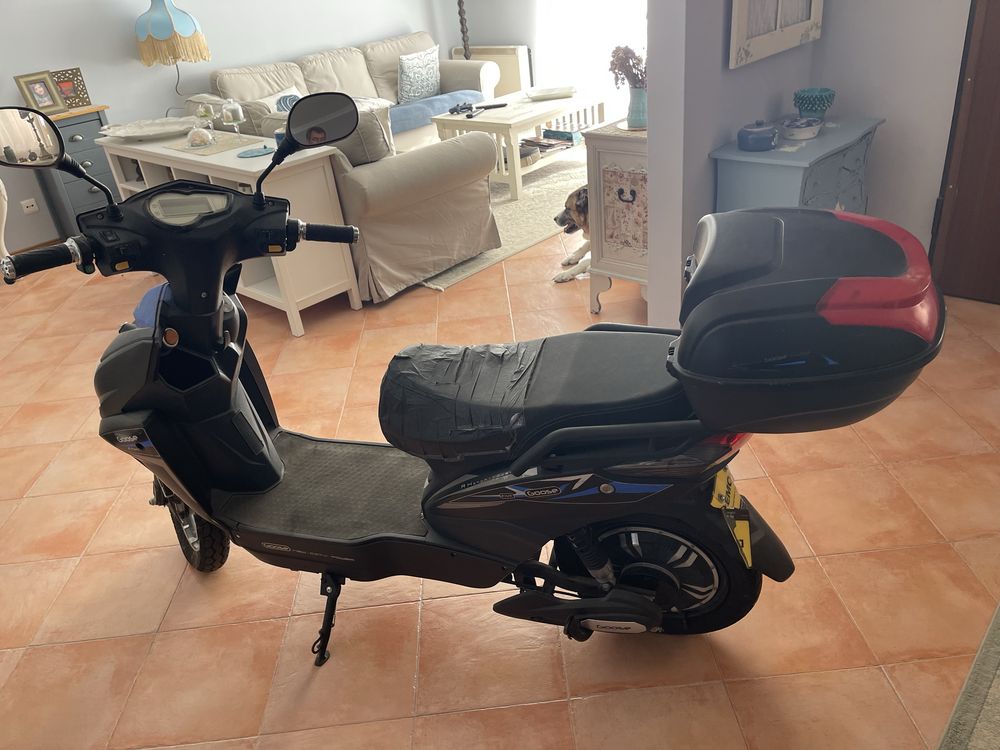 Moto electrica Goose Five