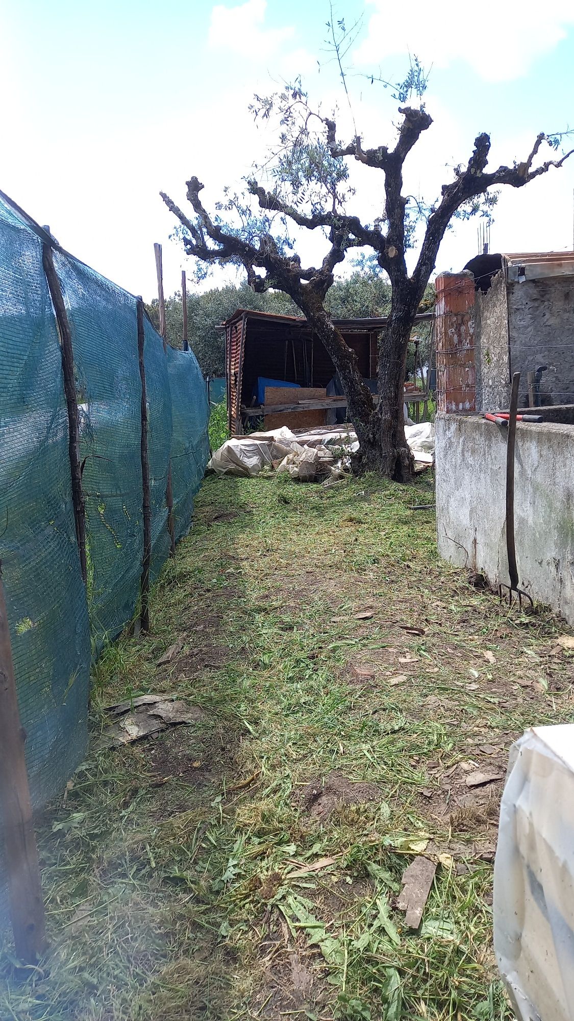Limpezas e jardinagem