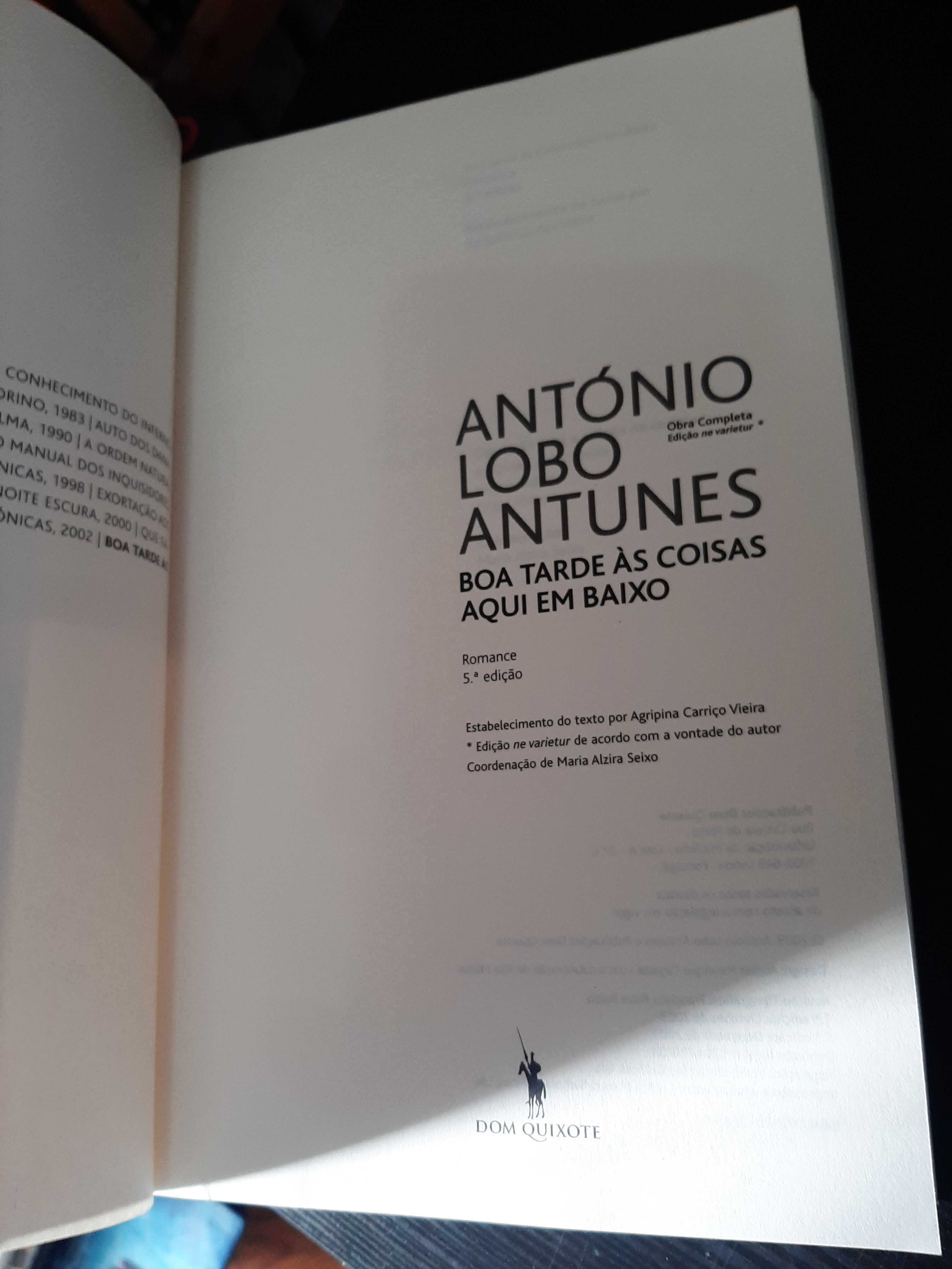 António Lobo Antunes – Boa tarde às coisas aqui em baixo