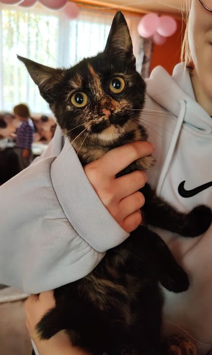 Oddam kotkę w dobre ręce