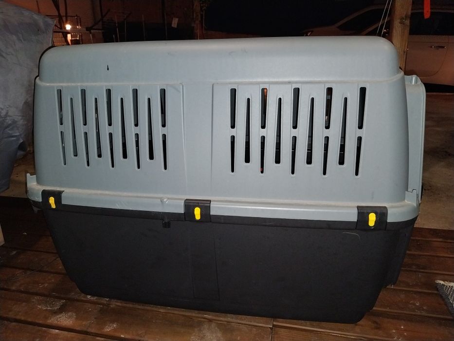 Box cão de porte médio grande