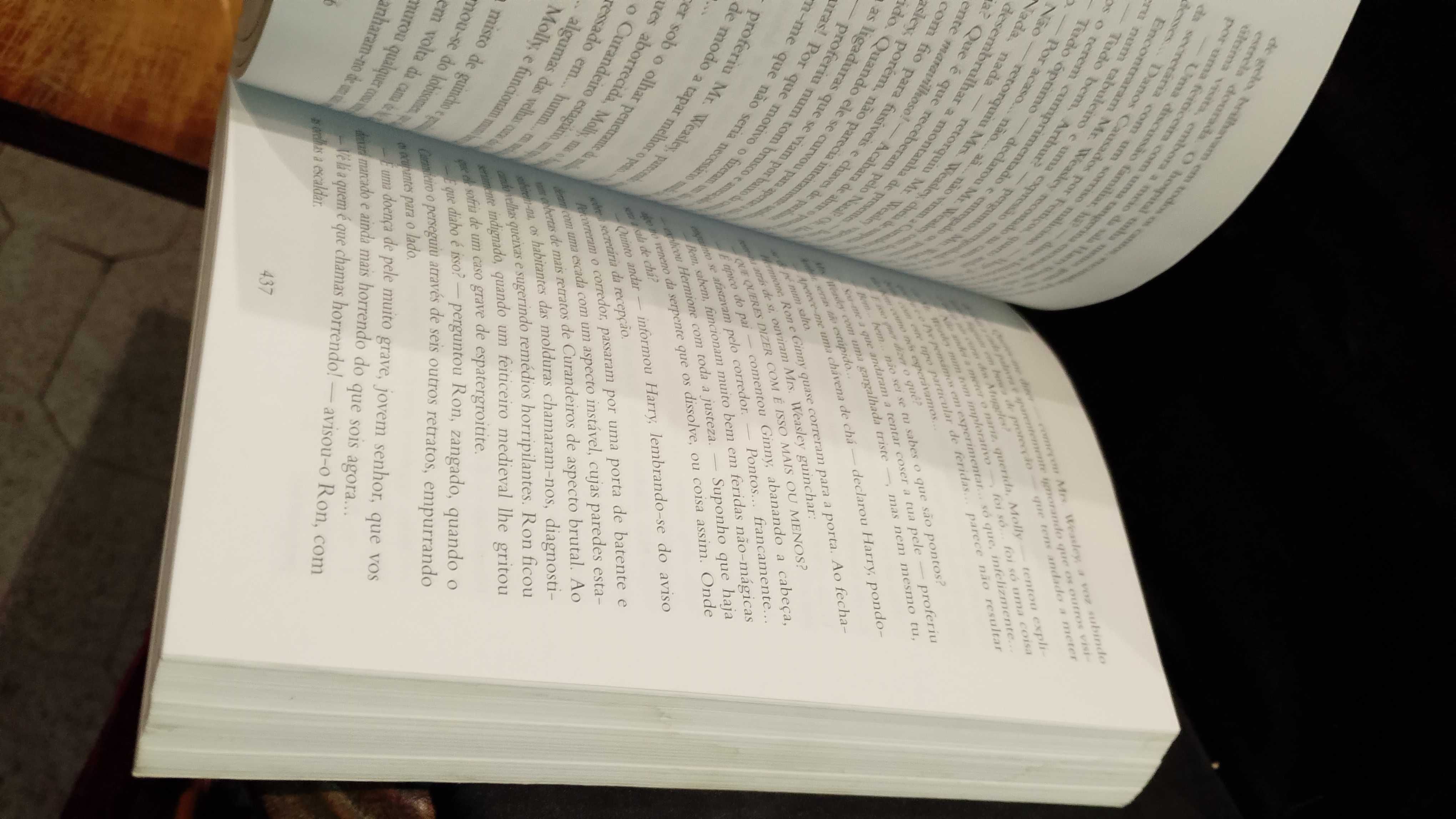 Harry Potter e a Ordem da Fénix - J. K. Rowling